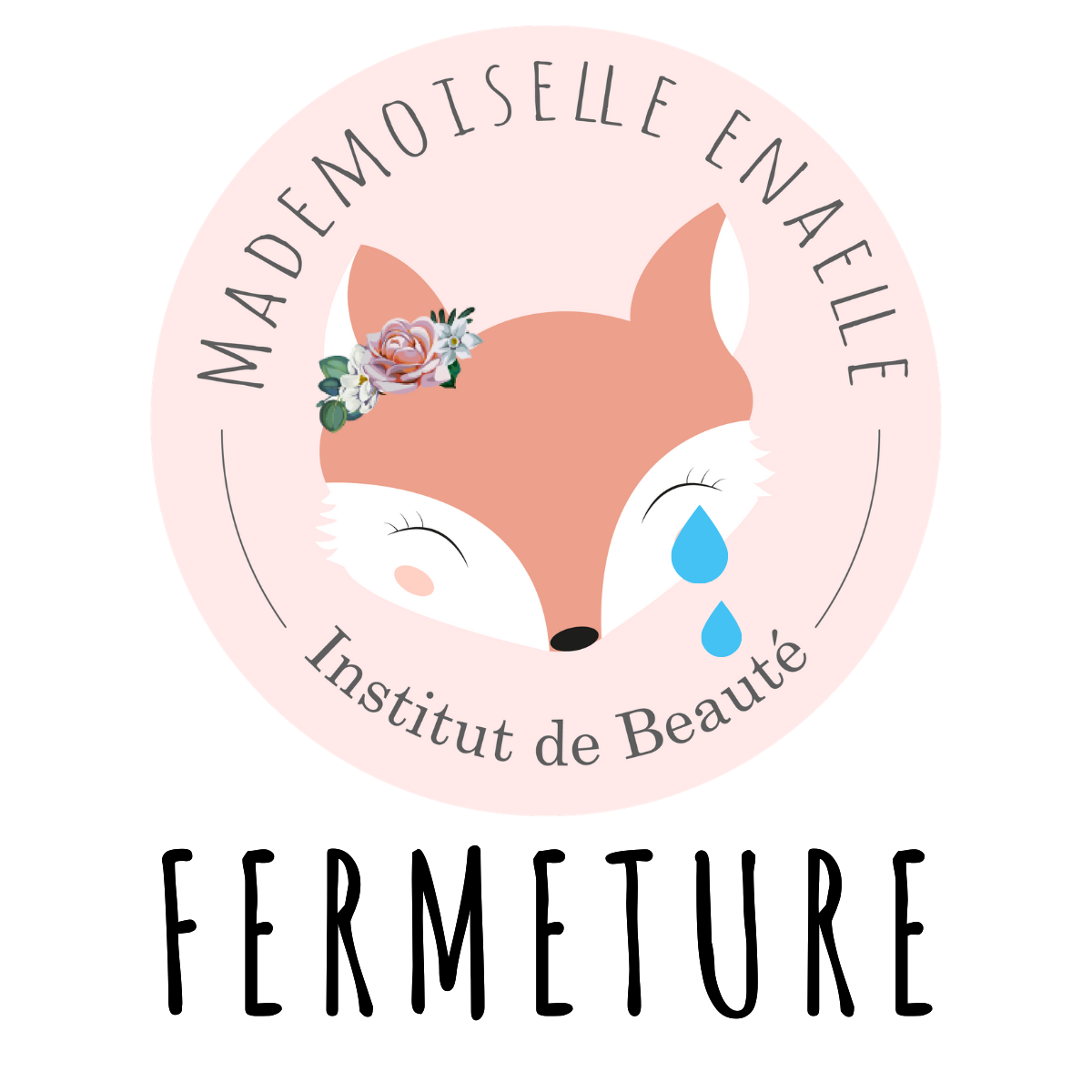 logo Mademoiselle Enaelle